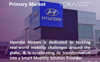 Primary Market Update: November 2024
