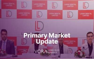 Primary Market Update: February 2025