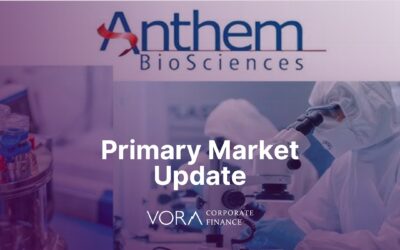 Primary Market Update: August 2025