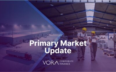 Primary Market Update: November 2025