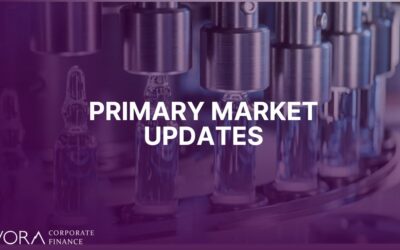 Primary Market Update: December 2025